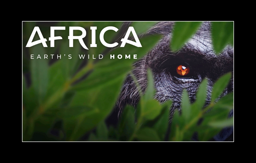 Wunmi Mosaku Narrates ‘Africa: Earth’s Wild Home,’ Premiering Oct. 2 On National Geographic