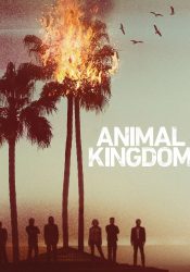 AnimalKingdom